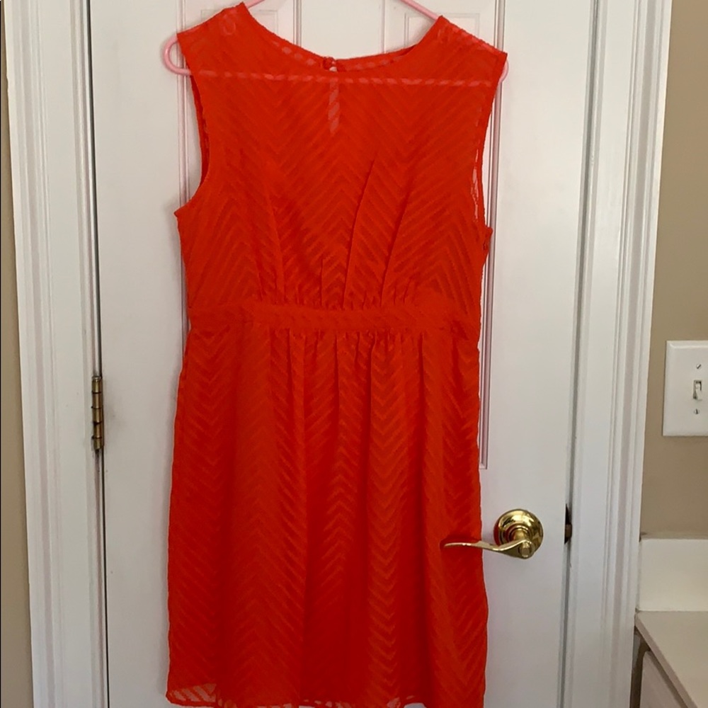 J. Crew dress